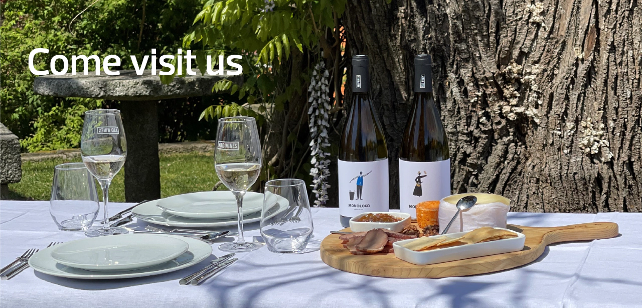 carousel/home/en/Visit Quinta de Santa Teresa.png