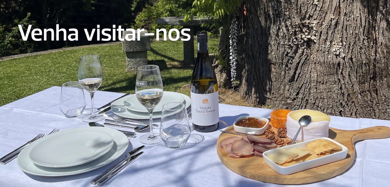 carousel/home/pt/2-visite-a-quinta-de-santa-teresa.png