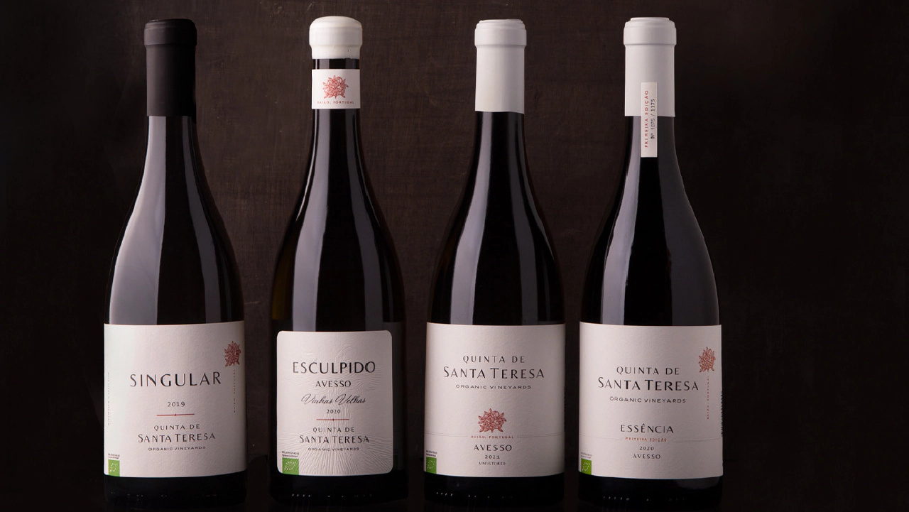 carousel/wines/2 vinhos gama quinta de santa teresa.jpg